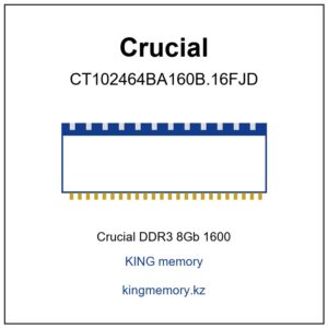 CRUCIAL DDR3 8Gb 1600 CT102464BA160B.16FJD